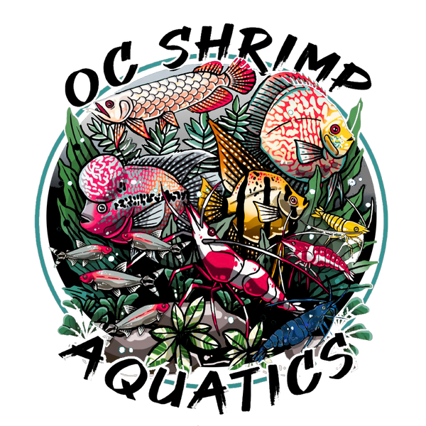 OC SHRIMP AQUATIC LLC logo